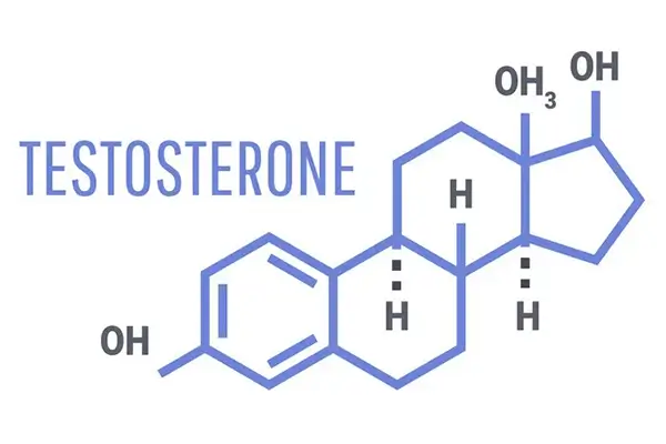 illustration of the testosterone molecule