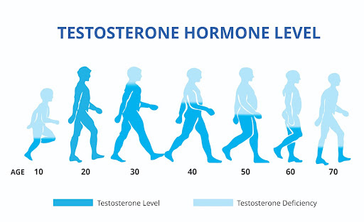 Understanding Low Testosterone